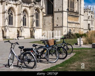 Les vélos sont garés à College Green à l'extérieur de la cathédrale gothique de Gloucester, en Angleterre. Banque D'Images