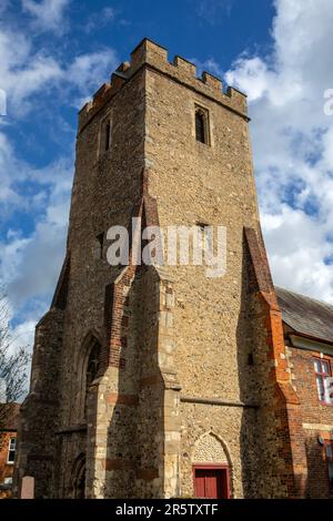 La tour de Saint Peters Church dans la ville de Maldon dans Essex, Royaume-Uni. La tour fait maintenant partie de la bibliothèque Thomas Plumes. Banque D'Images