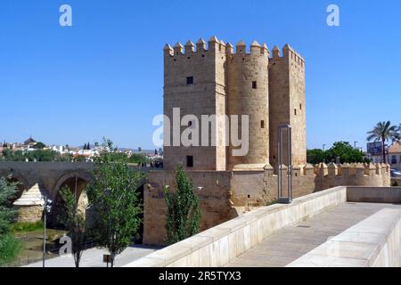 Cordoue, Andalousie, Espagne -05-13-2019- Torre de la Calahorra Banque D'Images