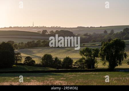 Le soleil du soir brille sur la colline Dundry, vue depuis la vallée de Chew dans le nord du Somerset. Banque D'Images