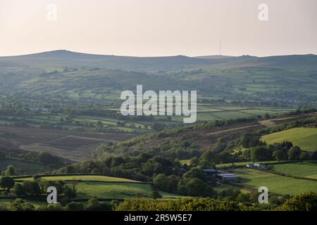 Le soleil du matin brille sur la vallée de Tavy et les collines de Dartmoor, y compris Roos Tor, Great Staple Tor et l'émetteur North Hessary Tor à Devon. Banque D'Images