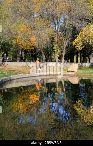 La photo a été prise dans la ville ukrainienne d'Odessa. Le lieu de tournage est un vieux parc public appelé jardin de Dyukovsky. Dans l'image, l'artiste p Banque D'Images