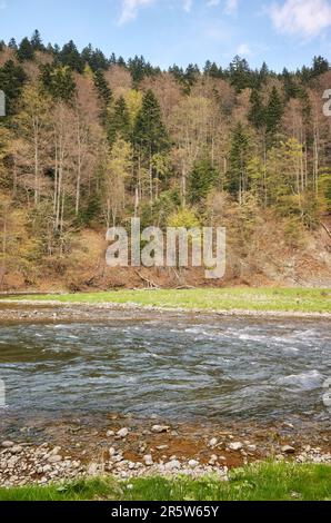 Rivière Dunajec dans les montagnes Pienin, Pologne. Banque D'Images