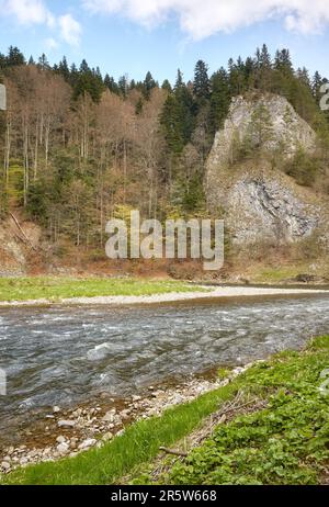 Rivière Dunajec dans les montagnes Pienin, Pologne. Banque D'Images