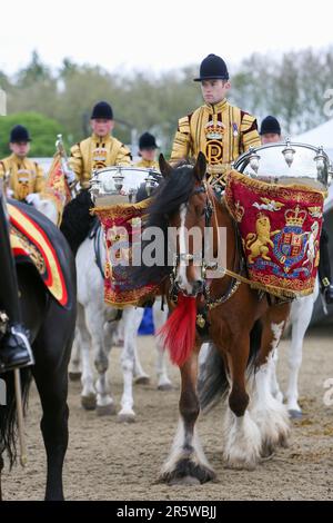 Le Drum Shire Horse Apollo au Royal Windsor Horse Show 2023, en compagnie de la Household Cavalry, Blues and Royals Banque D'Images