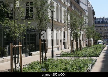 Paris, Umbau einer Schulstraße zur Fußgängerzone (rue du Sommerard) // Paris, conversion d'une route scolaire en zone de paditation (rue du Sommerard) Banque D'Images