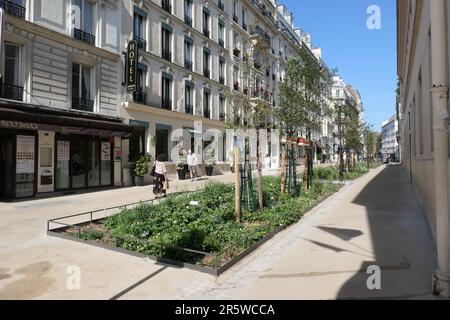 Paris, Umbau einer Schulstraße zur Fußgängerzone (rue du Sommerard) // Paris, conversion d'une route scolaire en zone de paditation (rue du Sommerard) Banque D'Images