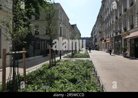 Paris, Umbau einer Schulstraße zur Fußgängerzone (rue du Sommerard) // Paris, conversion d'une route scolaire en zone de paditation (rue du Sommerard) Banque D'Images