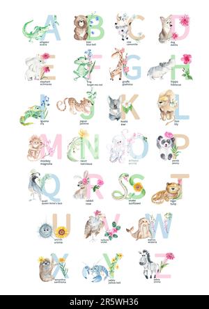 Aquarelle dessin à la main, joli animal latin et alphabet floral. Petits animaux avec fleurs et symboles ABC isolés sur fond blanc. Peut être utilisé comme Banque D'Images