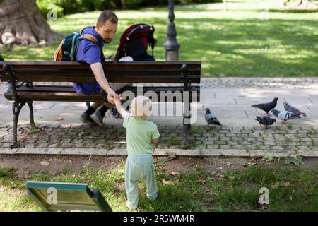 Le jeune père assis sur le banc donne du pain à son petit fils pour nourrir les pigeons dans le parc Banque D'Images