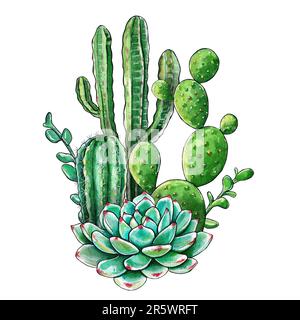 Composition lumineuse de cactus et de succulents. Aquarelle illustration des succs dessinée à la main. Il peut être utilisé pour les cartes de mariage et les invitations, la mère Banque D'Images