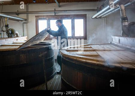 Les wash-back à la distillerie Ardbeg, île d'Islay, Hébrides intérieures, Écosse, Royaume-Uni Banque D'Images