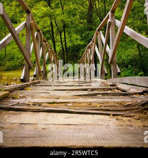 Un pont en bois s'étend sur un sentier menant à une forêt luxuriante Banque D'Images