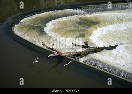 Pulteney Weir avec Driftwood à Bath Somerset Banque D'Images