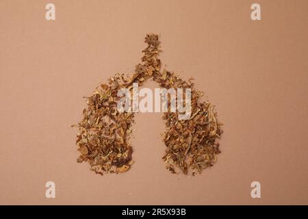 Non-fumeurs. Poumons faits de tabac sec sur fond brun, plat Banque D'Images