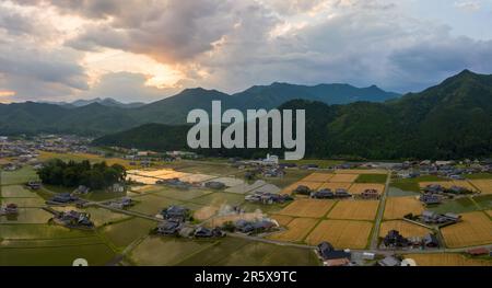 Le beau coucher de soleil se reflète au large de l'eau dans les champs de riz par le blé dans le village par les montagnes Banque D'Images