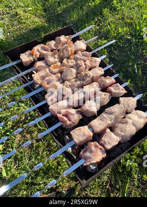 Beaucoup de kebabs de viande juteux dans une rangée sur le gril. Morceaux de viande grillés sur brochettes métalliques. Le processus de cuisson des kebabs avec beaucoup de fumée. Cuisine Banque D'Images