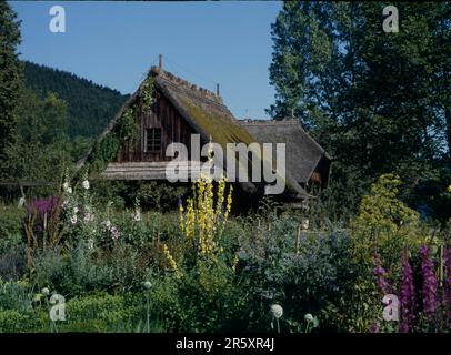 Musée en plein air, Vogtsbauernhof, jardin de la ferme, Forêt Noire Musée en plein air Vogtsbauernhof, Gutach, Ortenaukreis, Bade-Wurtemberg, Allemagne Banque D'Images