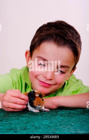 Garçon avec cobayes rosette, 2 jours, cobayes rosette (Cavia porcellus) Banque D'Images