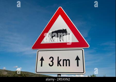 Panneau d'avertissement « Wild Boars Crossing the Road », Croatie, panneau de signalisation, panneau de signalisation Banque D'Images