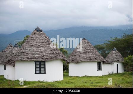 Momella Wildlife Lodge, Parc national d'Arusha, Tanzanie, construit pour le film "Hatari Banque D'Images