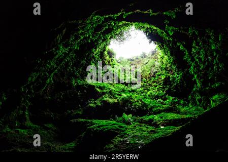 Algar do Carvao ou caverne de charbon à l'île de Terceira, Açores, Portugal. C'est un ancien tube de lave ou un évent volcanique situé dans la partie centrale du Banque D'Images