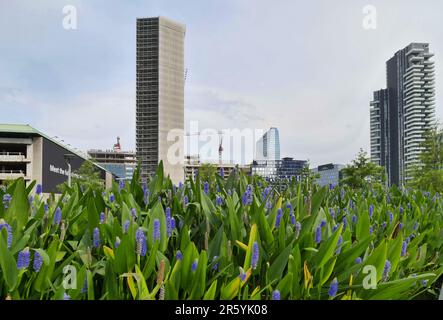 BAM bibliothèque d'arbres, nouveau parc moderne dans le quartier de Porta nuova, Milan, Lombardie, Italie Banque D'Images