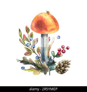 Champignons boletus de forêt avec herbe, bleuets, mousse et cône. illustration aquarelle, dessinée à la main. Composition isolée sur fond blanc Banque D'Images