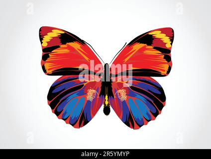 Vector illustration - Beau papillon multicolore aux couleurs vives Illustration de Vecteur