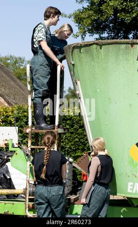 HERPEN - les élèves du cadre VMBO aident pour une journée à la ferme laitière de Zonnenberg. Au cours de la semaine du Class Farmer, les étudiants sont autorisés à aider les agriculteurs du sud du pays à en apprendre davantage sur l'origine de la nourriture. ANP IRIS VAN DEN BROEK pays-bas hors - belgique hors Banque D'Images