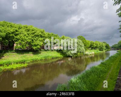 Le Dommel traverse le centre de la ville hollandaise de Den Bosch, à la fin du printemps. Pays-Bas, Europe. Banque D'Images