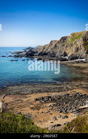 Plage de Hartland Quay en été avec un ciel bleu vif, Devon, Royaume-Uni Banque D'Images