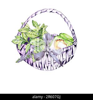 ensemble d'éléments aquarelle dans le style d'esquisse. menthe vive avec feuilles et fleurs. Ensemble de thé. pour cartes postales et design. Banque D'Images