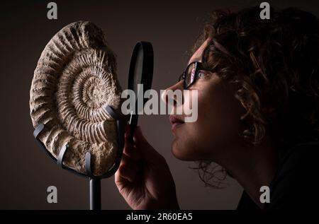 Dr Rebecca Bennion avec un ammonite du Haut Jurassique de 160 millions d'années de la collection du musée Whitby, en avance sur le festival des fossiles du Yorkshire à Whitby, dans le Nord du Yorkshire. Date de la photo: Mardi 6 juin 2023. Le Yorkshire Fossil Festival, qui se tient à Whitby les 10 et 11 juin, compte un large éventail d'experts en fossiles et de géologues, ainsi que des spectacles de cirque et des théâtres de rue du monde entier. Banque D'Images