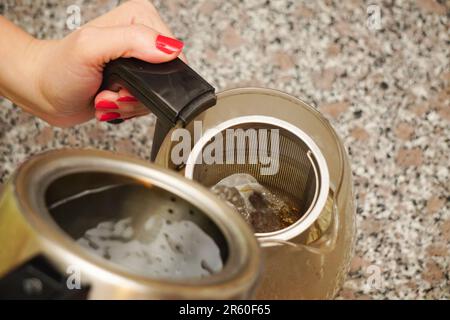 Cafetière à thé dans la cuisine vue rapprochée dans la main de femme Banque D'Images