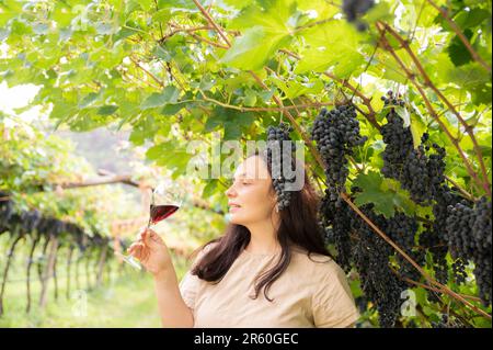 Belle femme rêvant de déguster du vin rouge en appréciant un séjour d'été dans les vignobles par belle journée ensoleillée. femme buvant du vin rouge au vignoble. saison de récolte. Photo de haute qualité Banque D'Images