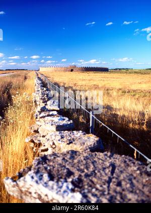 Une vue lointaine du fort d'Eketorp sur l'île suédoise d'Öland Banque D'Images