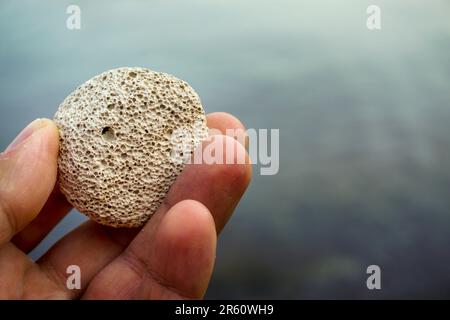 Ponza rock dans la main de l'homme dans la nature vue rapprochée Banque D'Images
