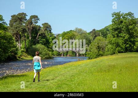 Femme marchant vers Tower Bridge offrant un accès privé par véhicule au-dessus de la rivière Usk dans le parc Glanusk près de Crickhowell Powys Banque D'Images