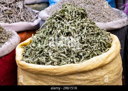 Stevia sec plante des feuilles aux marchés locaux de fines herbes, également connu sous le nom de souks, à Medina, Marrakech, Maroc, un édulcorant populaire et alternative de sucre Banque D'Images