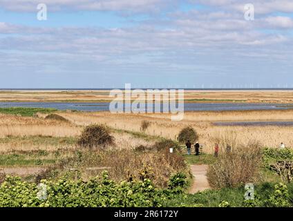 La vue acorss CLEY Marshes, une réserve naturelle dans le nord de Norfolk depuis le centre d'accueil avec marais salants, lits de roseaux, lagons. Éoliennes à distance Banque D'Images