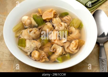 Plat avec des buccins communs dans le bouillon comme une soupe de Brussel gros plan pour un repas Banque D'Images