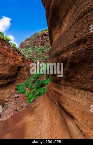 Canyon entre rochers ocre, marron et rouge. Avec un chemin de sol prié par les pluies et avec la végétation des buissons et dans la distance un ciel bleu avec Banque D'Images