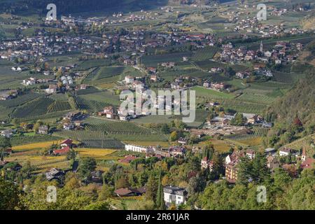 Vue d'ensemble du village et des vignobles vus de Tirol (Dorf Tirol), Tyrol du Sud, Italie Banque D'Images