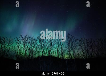 Une exposition Aurora Borealis au-dessus d'un Lodge rustique lors d'une soirée sereine Banque D'Images