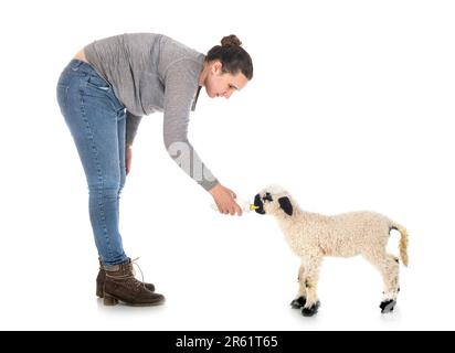 Agneau Valais blacknose et femme paysanne en face de fond blanc Banque D'Images