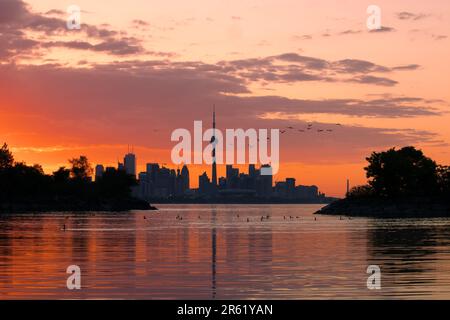 Un magnifique lever de soleil à Toronto au-dessus d'un lac tranquille avec des oiseaux en vol silhouetés contre le ciel du parc de la baie humber Banque D'Images