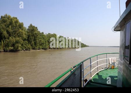 Voyage des sundarbans en bateau.cette photo a été prise du parc national des sundarbans, Bangladesh. Banque D'Images