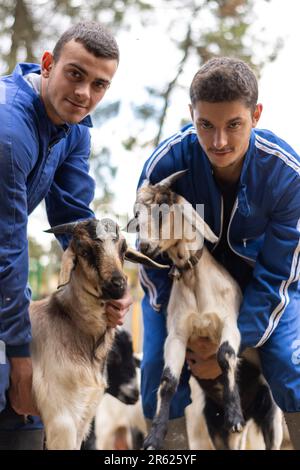 Trois hommes qui interagissent avec des chèvres domestiquées dans un cadre extérieur Banque D'Images