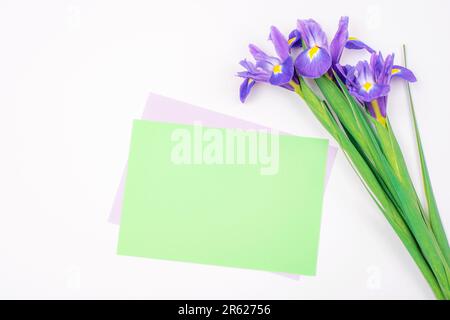 Papier blanc vert et fleurs de l'iris violet sur une table blanche. Vue de dessus, plan d'agencement, maquette. Banque D'Images